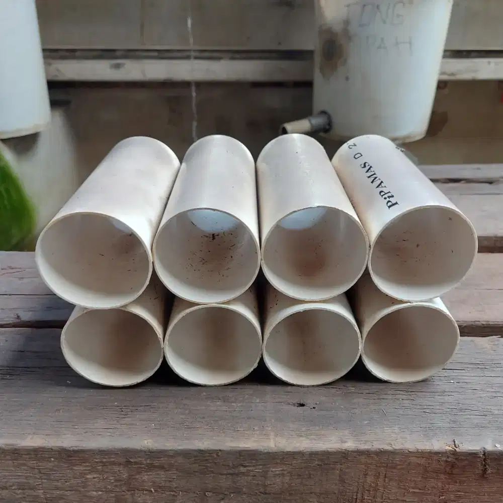 Shelter Lobster Bekas Budidaya