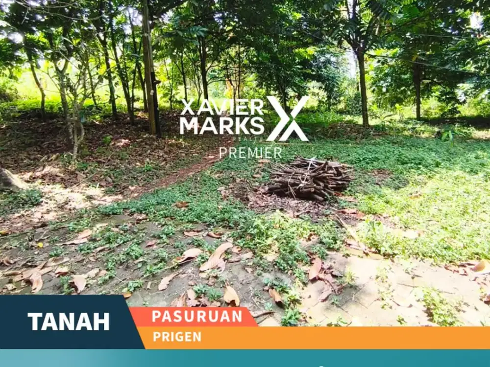 Dijual Tanah Berkontur View Gunung di Prigen Pasuruan