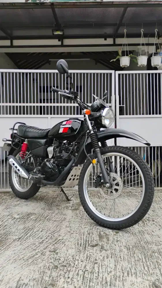 Kawasaki W175 TR
