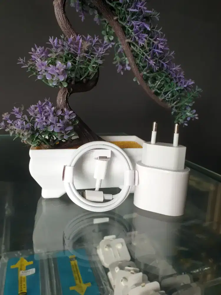 Charger iPhone 20w Sepaket