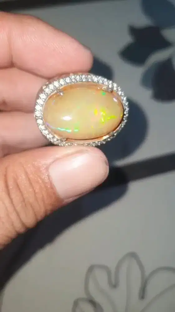 Kalimaya afrika bunglon