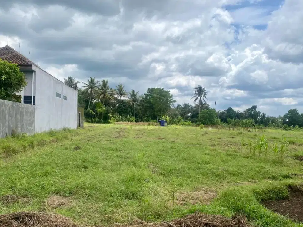 Tanah Caturharjo Akses Lebar Selangkah Jl. Magelang, 3 Menit Ibarbo Park