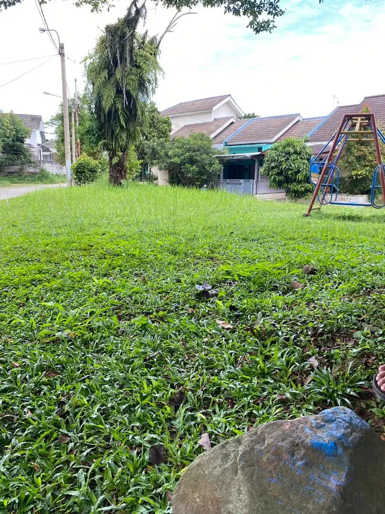 Loker dimsum mentai produksi dan jaga lapak