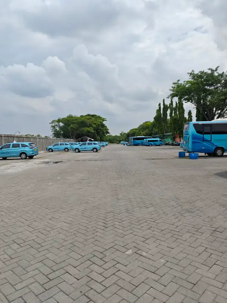 Driver Bluebird Lakarsantri