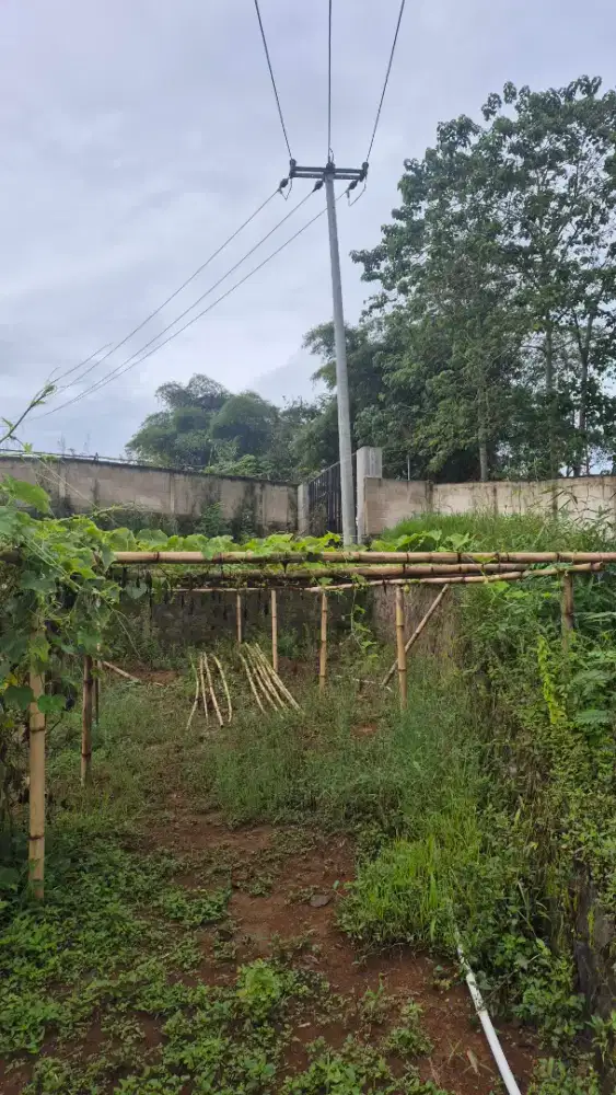 DI JUAL TANAH PRIBADI CISARUA PASIRJAMBU CIWIDEY