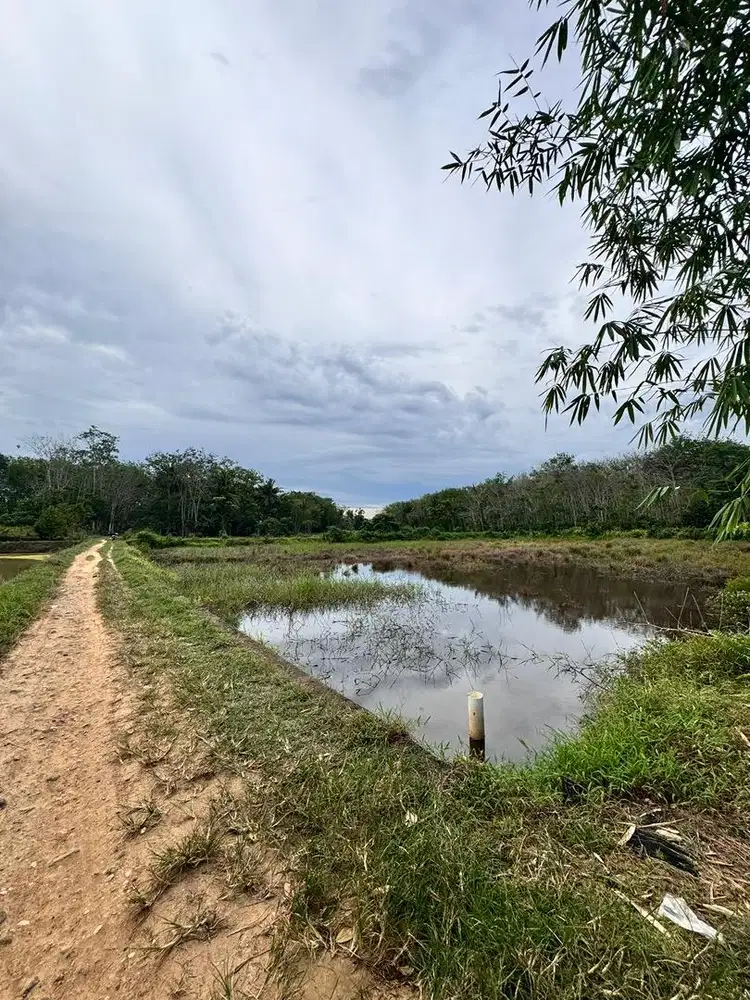 DIJUAL TANAH KOLAM DI KAMBITIN RAYA