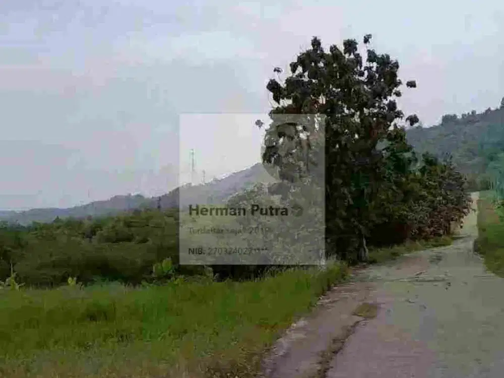 Tanah Rowosari Tembalang Meteseh Undip