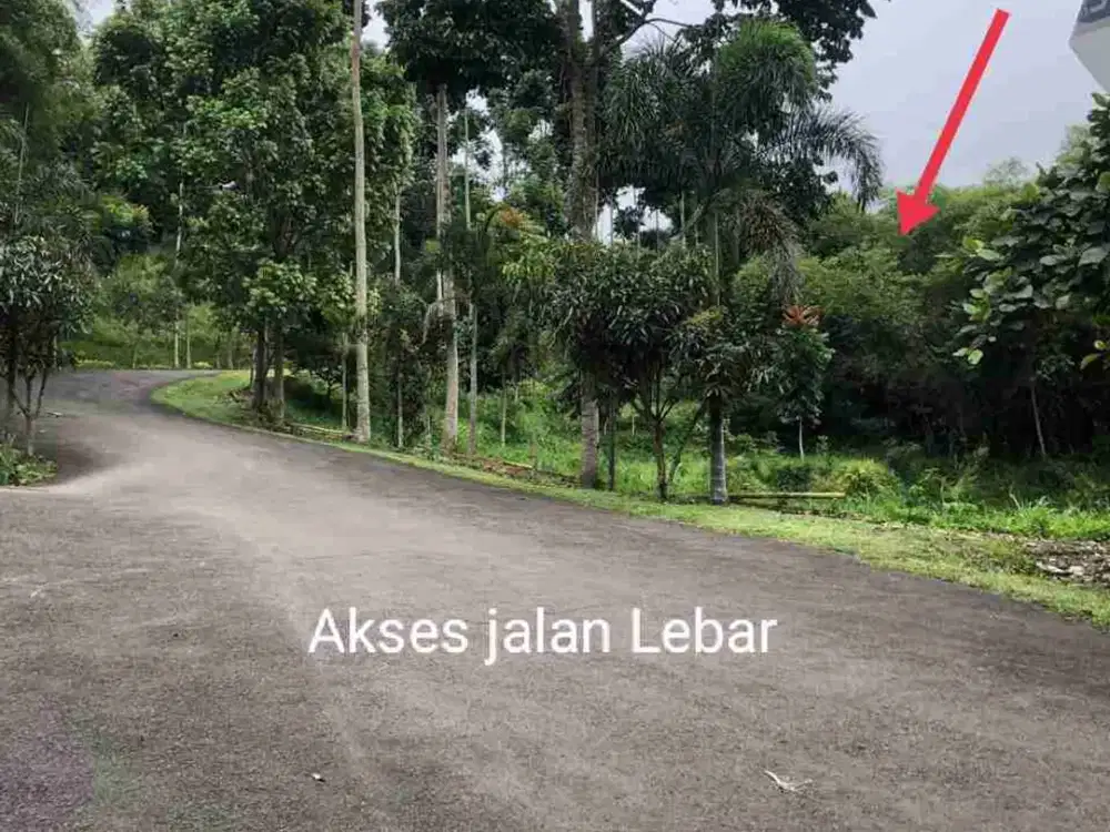 Dijual Tanah Murah Dibwh hrg. Strategis, jl.Lebar.View Keren, cck utk Cafe,Villa dll. Dkt. Dago.