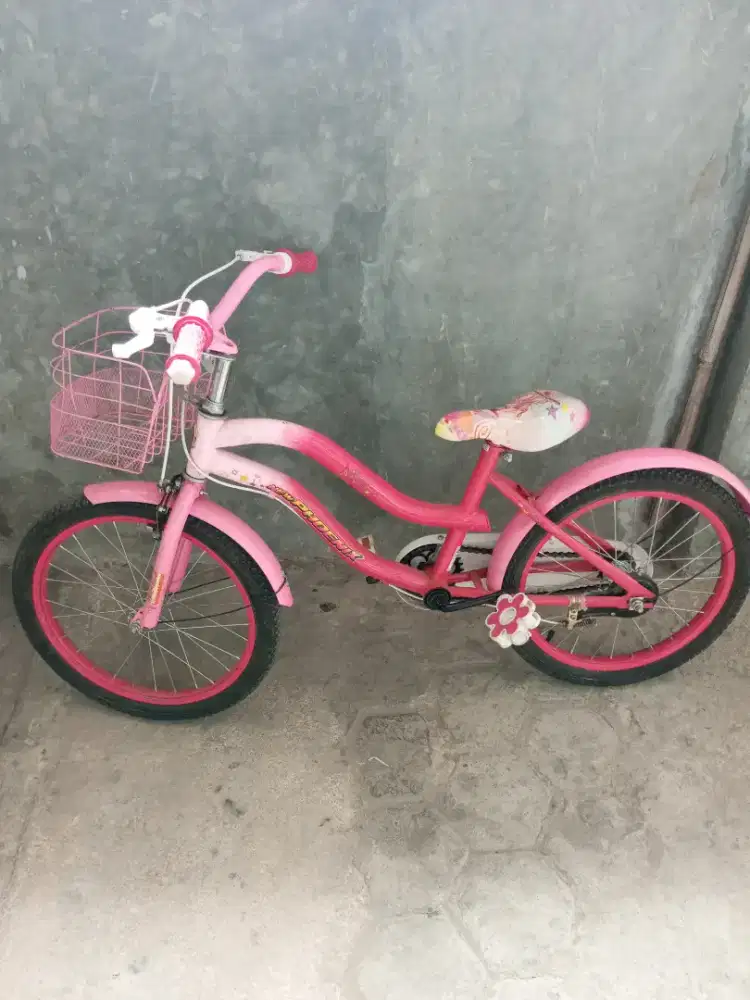 Sepeda anak bekas mulus