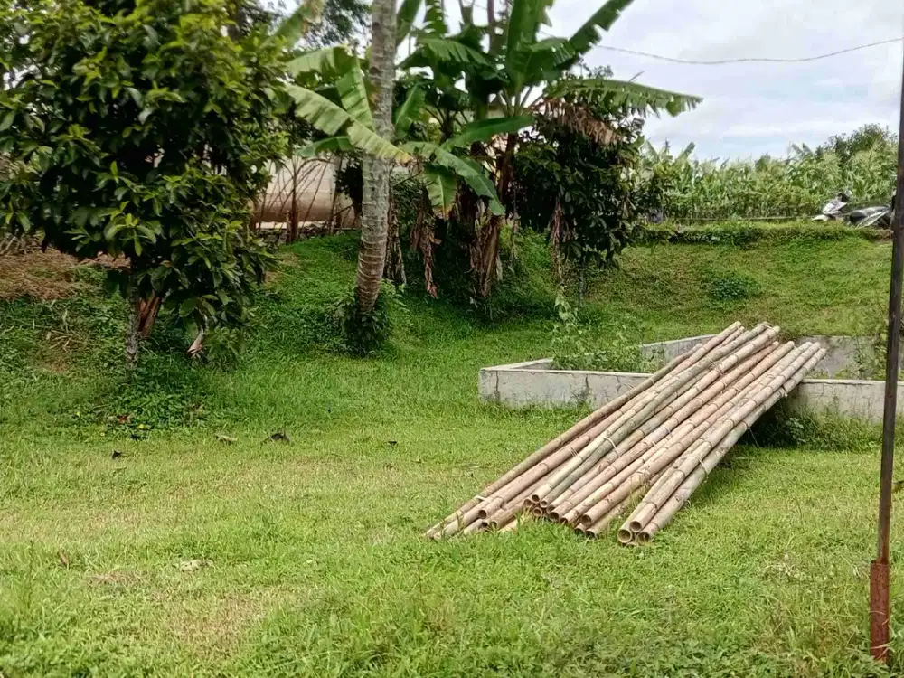 tanah +kandang kambing