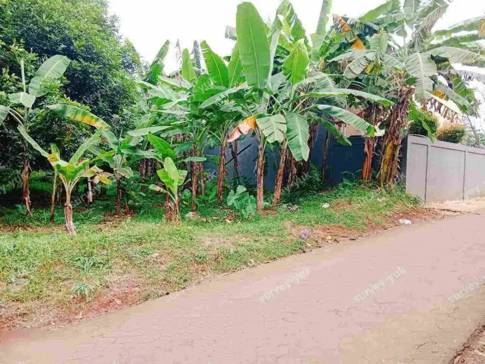 Tanah Kebun 624 m2 SHM Akses Mobil Strtegis Di Ciater Serpong