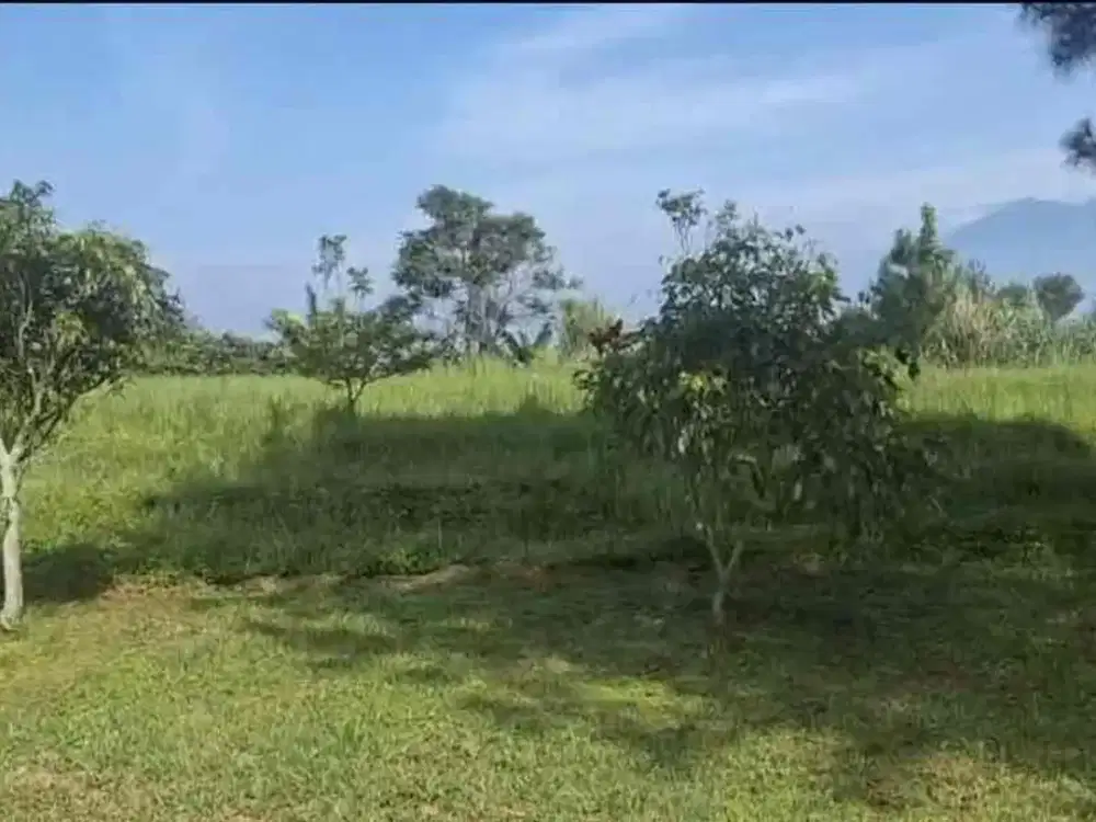 for sale tanah darah pancawati kec caringin