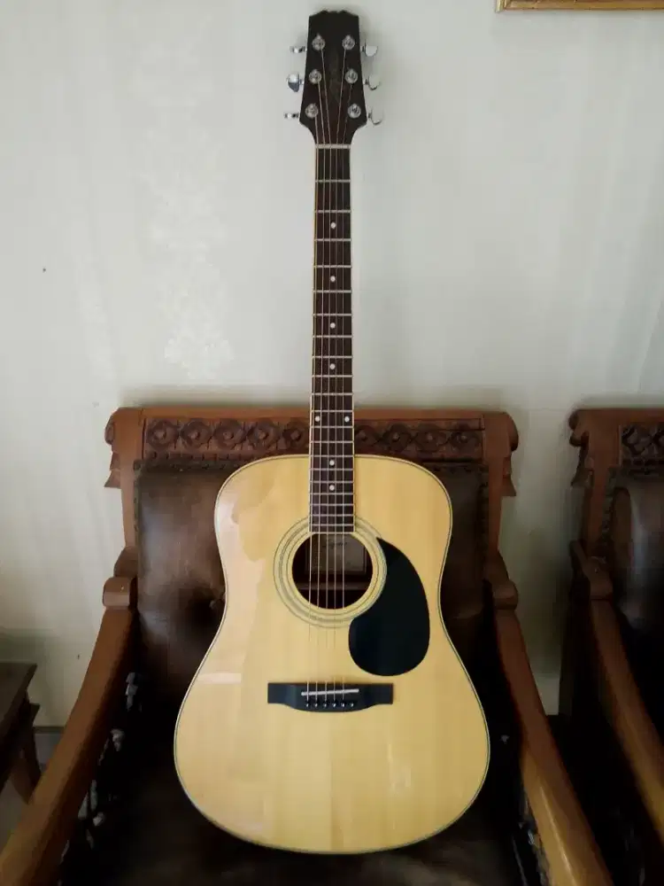 Gitar sergovia like new pream fishman