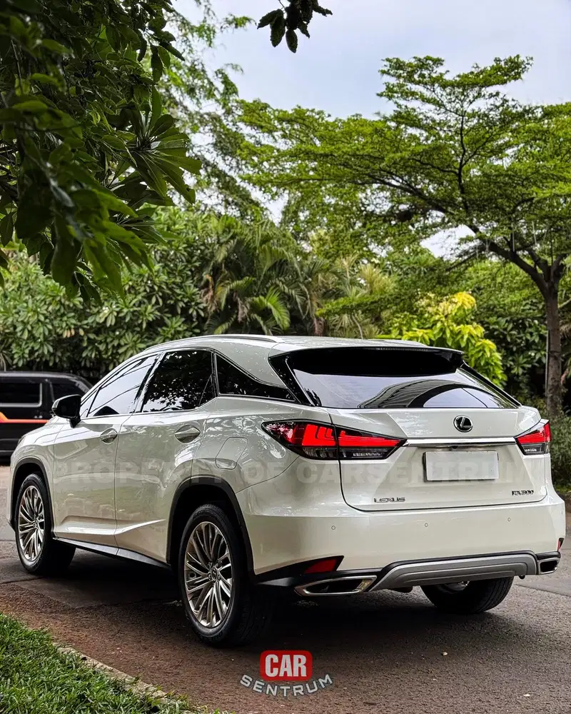 LEXUS RX300t Facelift 2020 / 2021