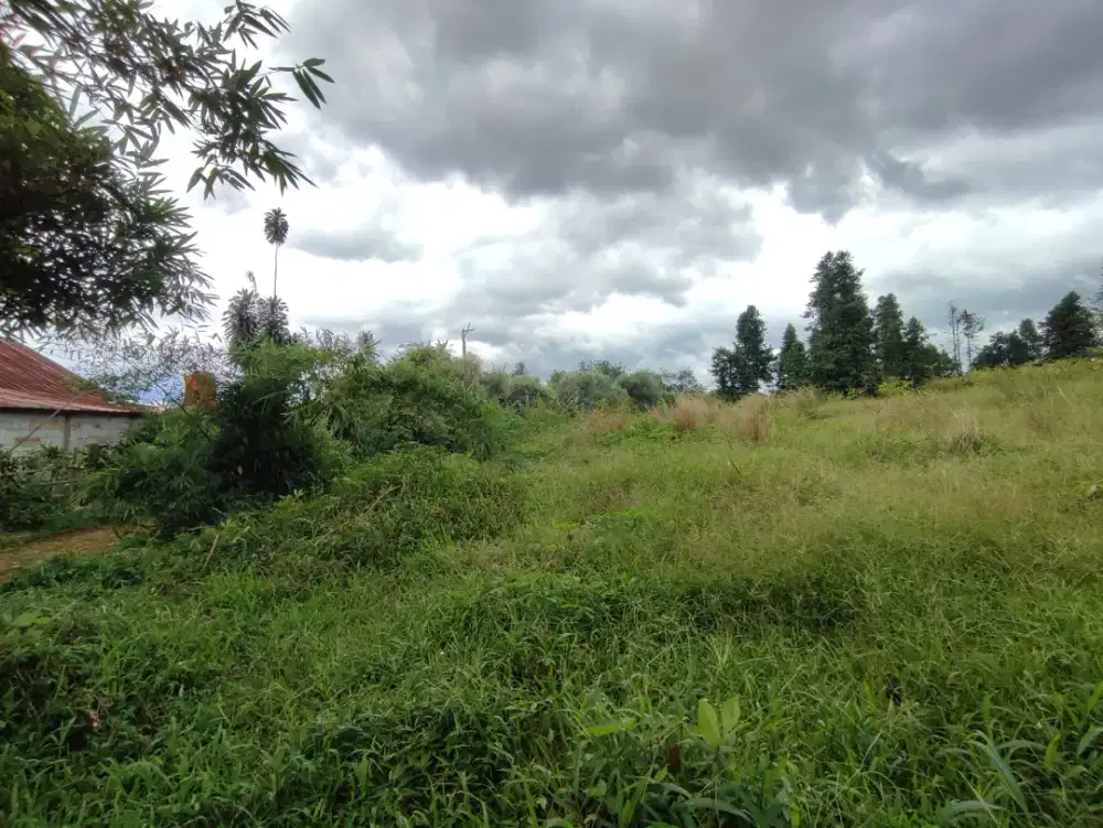 SEWA CEPAT! LAHAN LUAS 1.3 HEKTAR STRATEGIS PINGGIR JALAN RAYA UTAMA