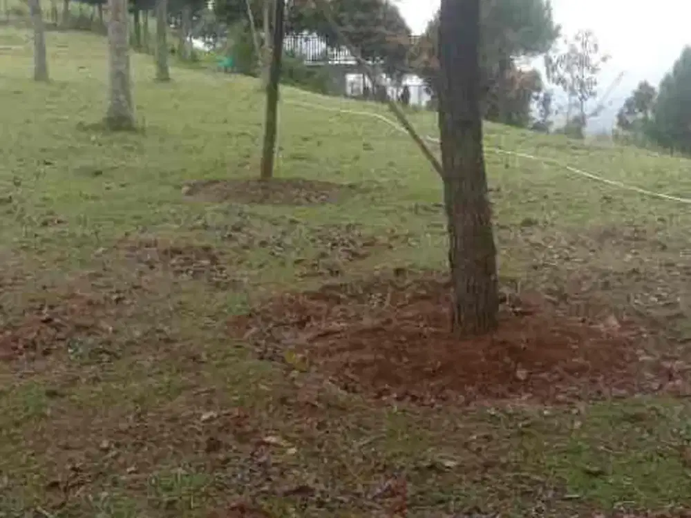 for sale tanah darat lokasi kaki gunung salak tajur halang