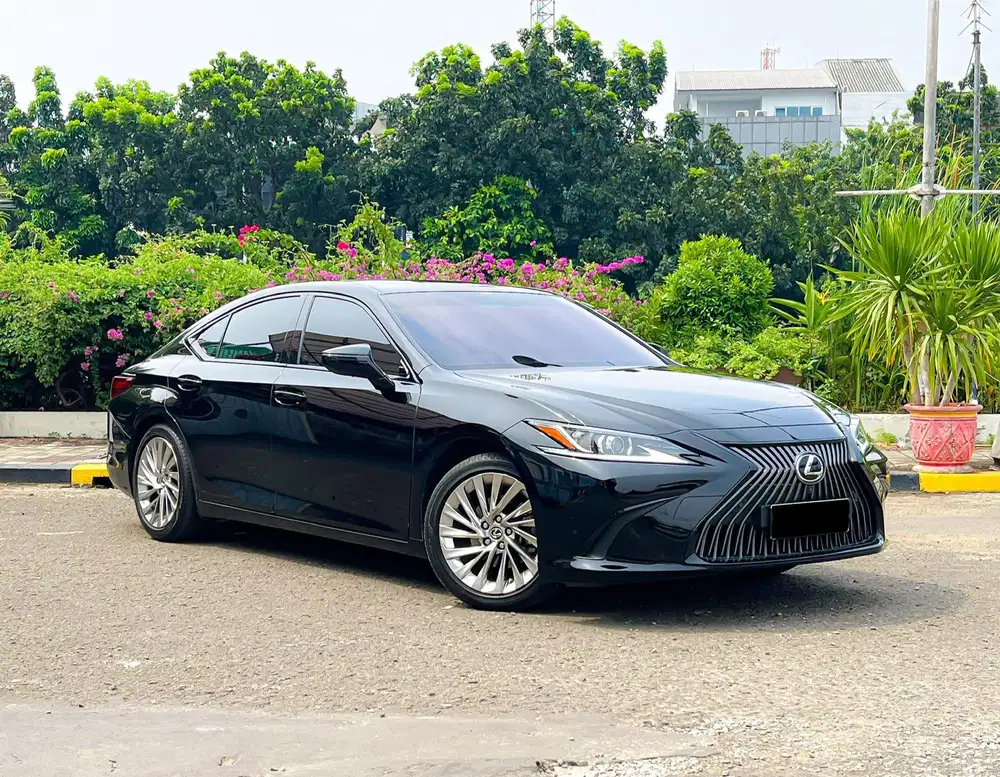 [Odo 11000] Lexus ES250 2020 Perfect Condition
