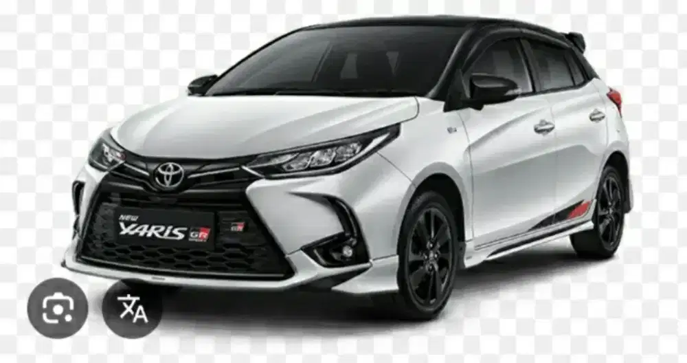 Tour Guide Parawisata In Medan City + Car