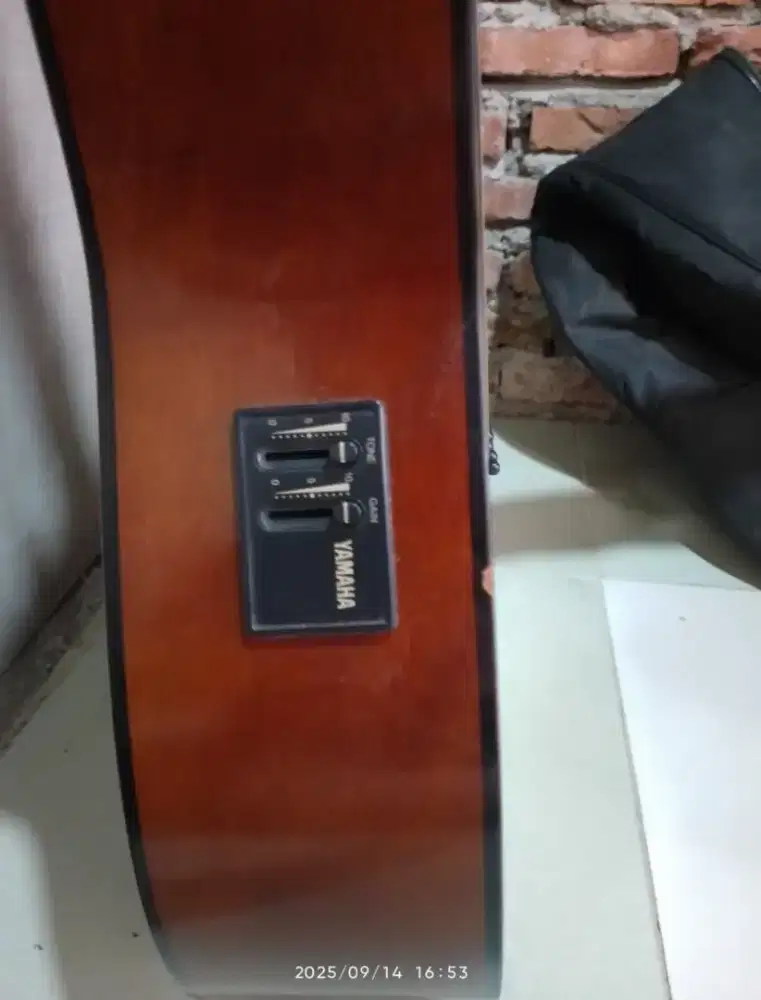 Yamaha akustik elecktrik F310