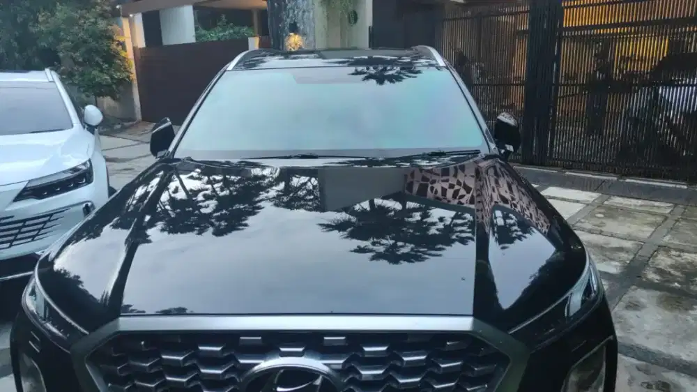 Hyundai palisade 2021