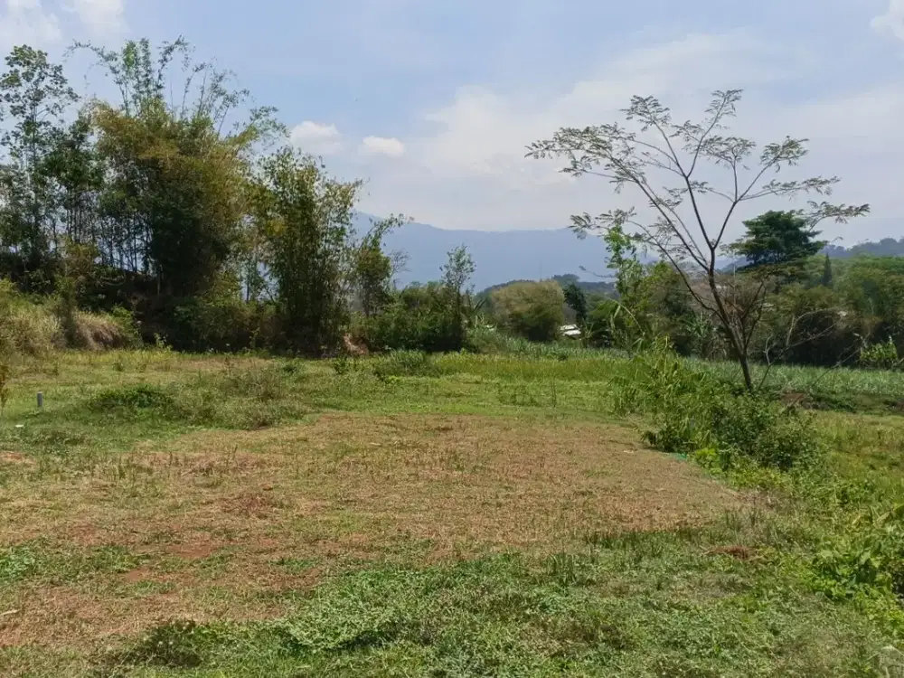 Investasi Sehat & Cuan! Tanah Nol Jalan, Udara Sejuk, Akses Cepat ke Pusat Industri.