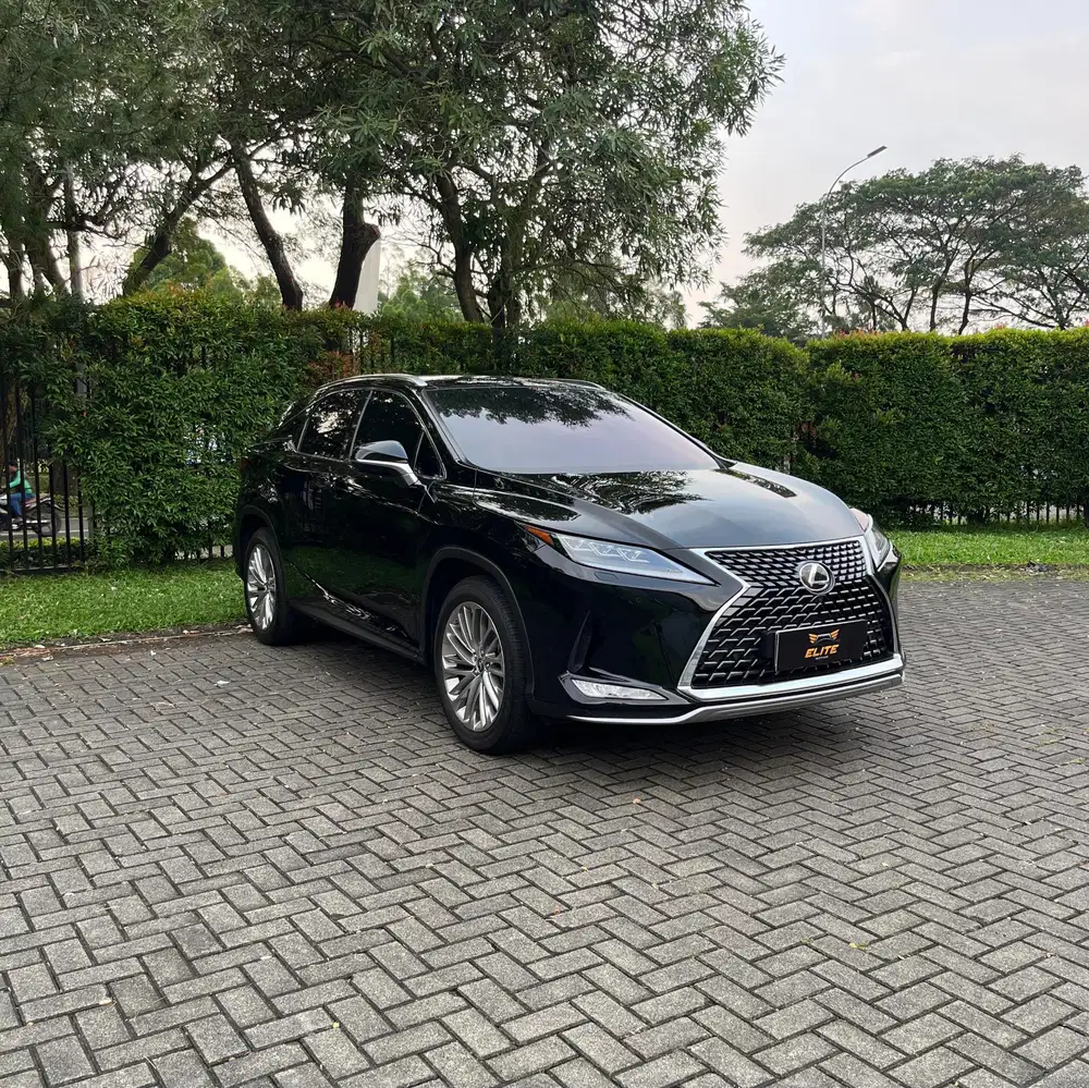 Lexus RX 300 Luxury 2020