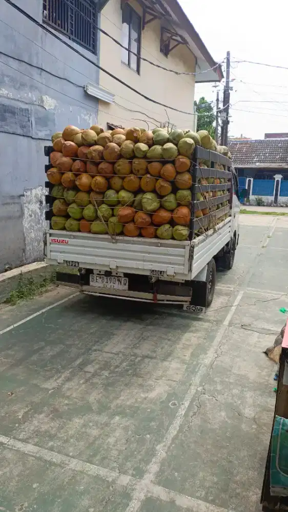 Jualan kelapa muda