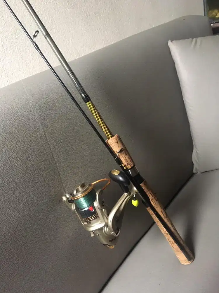 Reel + Joran merk DAIDO