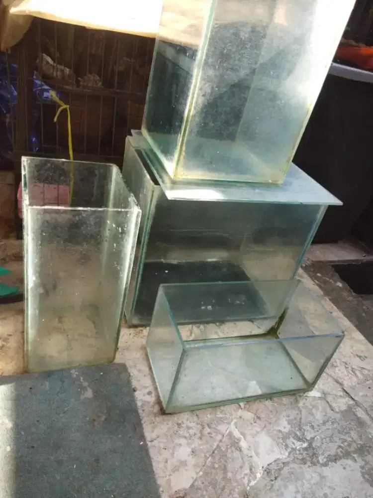 Aquarium no bocor bocor