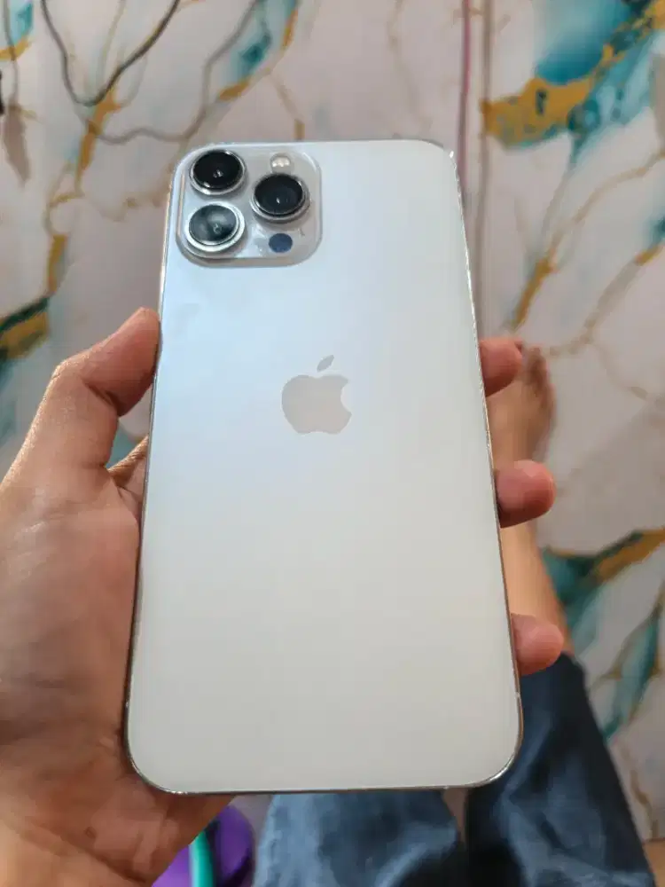 Iphone 13 promax 256