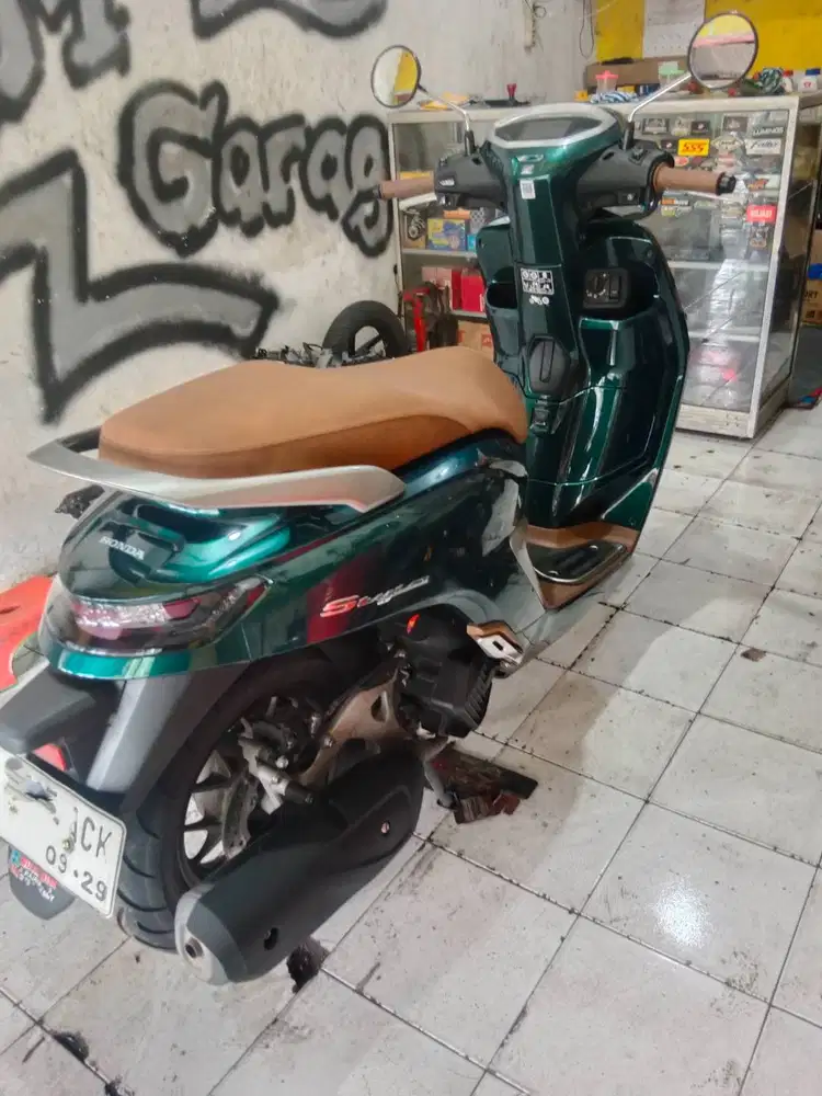 Stylo royal green 2024