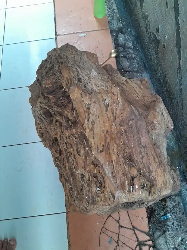batu fossil langka