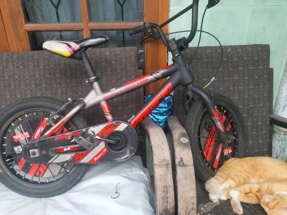 BMX PASIFIC RIPPER 1.0 16 INCH