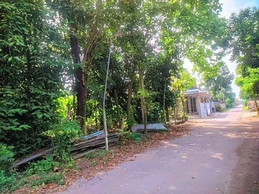 Tanah pekarangan semut jambu kec kayen kidul kediri hari sekoto