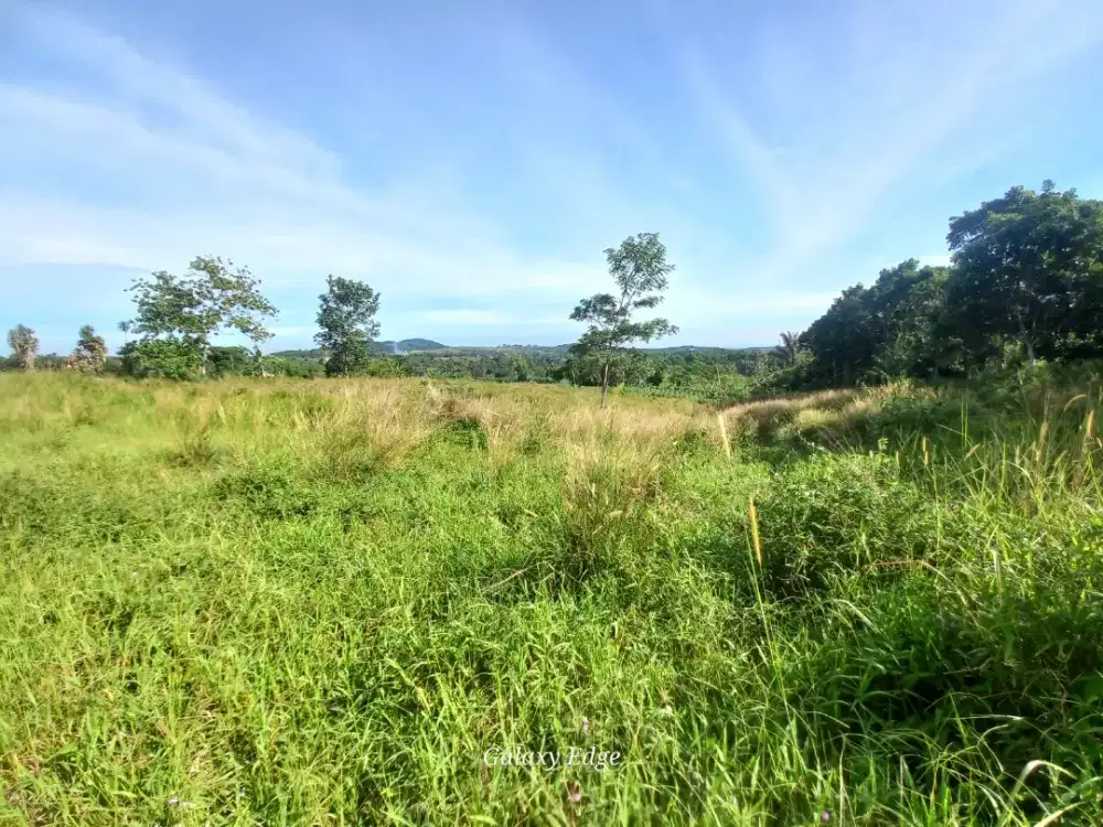 DIJUAL CEPAT! Tanah Garapan 5 Hektar Sukamakmur Bogor Timur