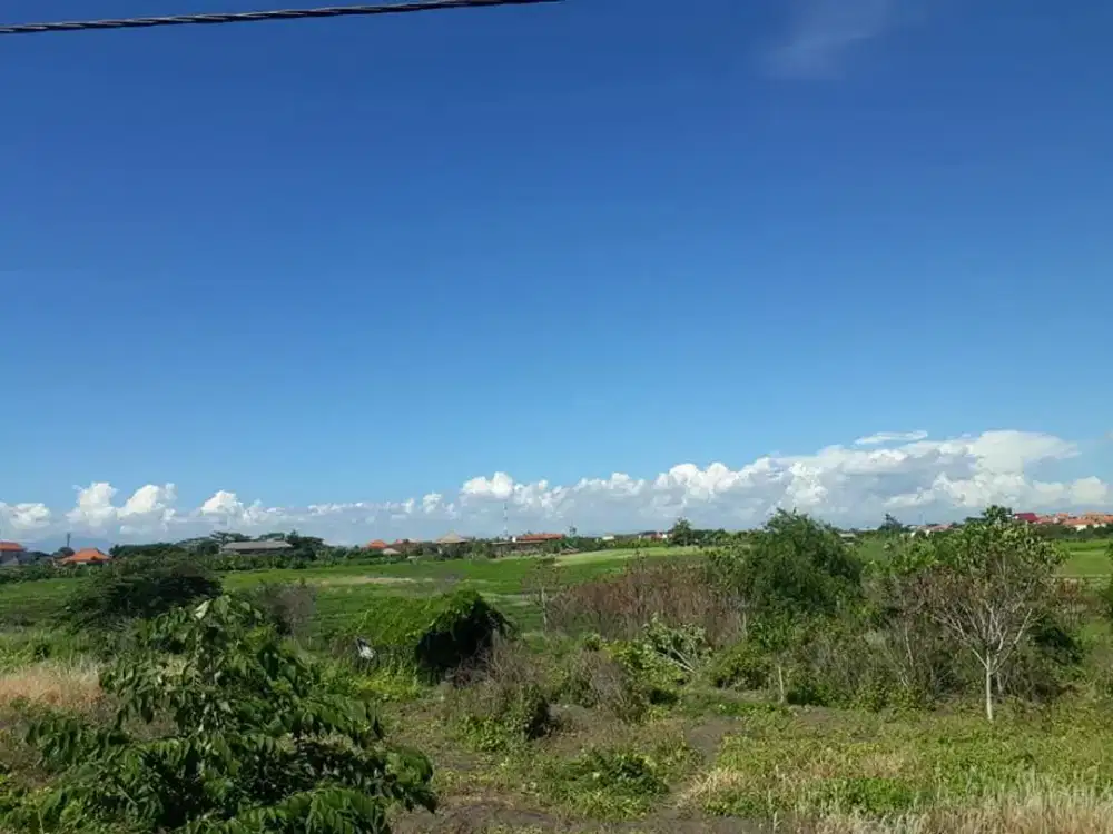Tanah Premium 4,5 Are View Sawah di Jln. Pantai Batu Bolong, Canggu – SHM / Freehold