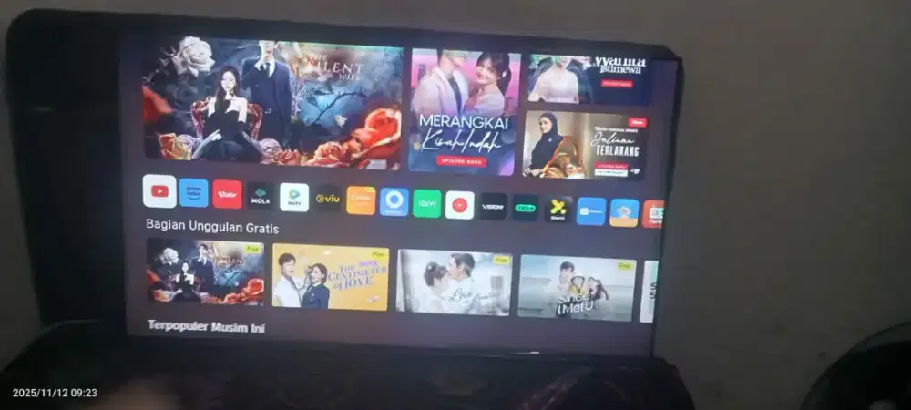 Panasonic 43inch smart tv