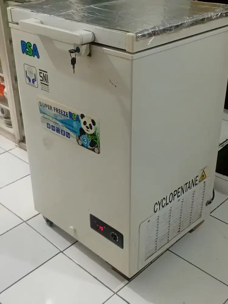 Freezer RSA  100 lt