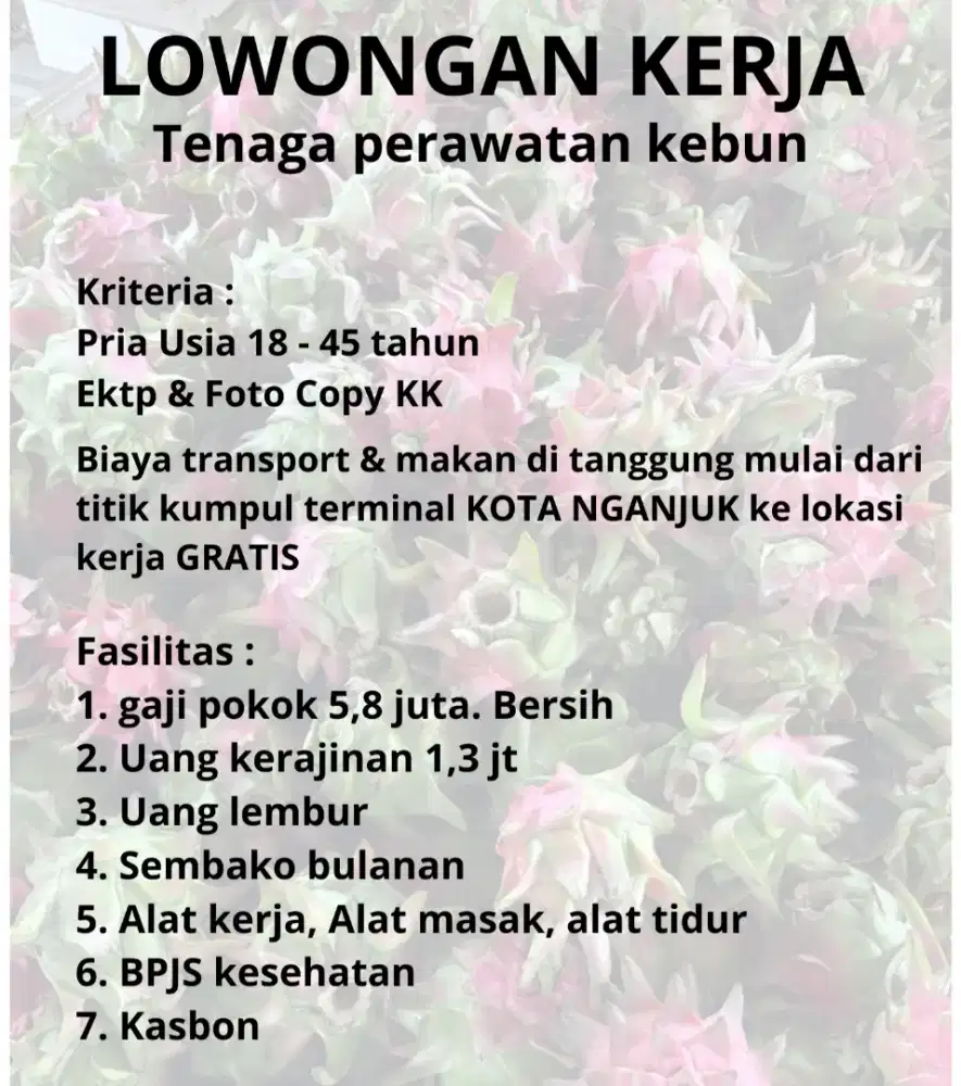 Lowongan tenaga perkebunan