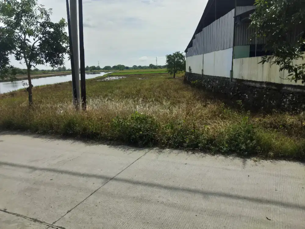Jual tanah 0 jalan raya lokasi tambak boyo
