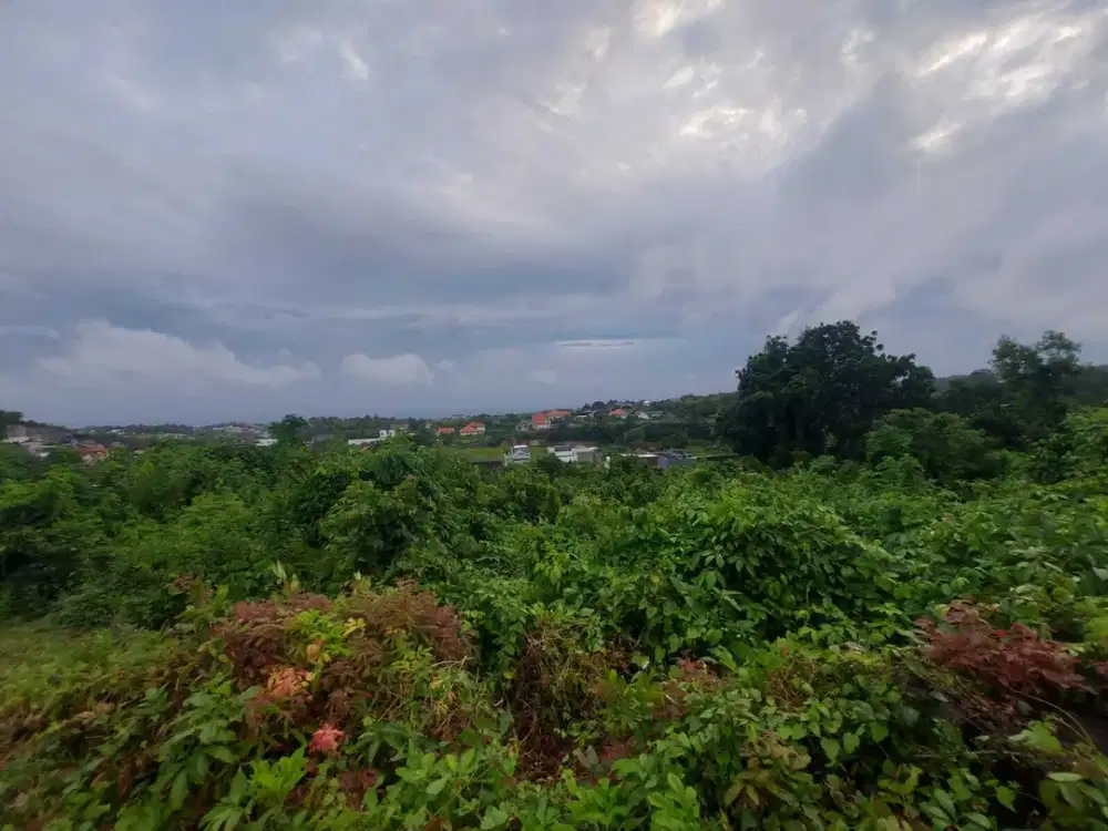 Dijual Tanah Kosong 50 Are View Laut Melasti Lokasi Tenang dan Sepi