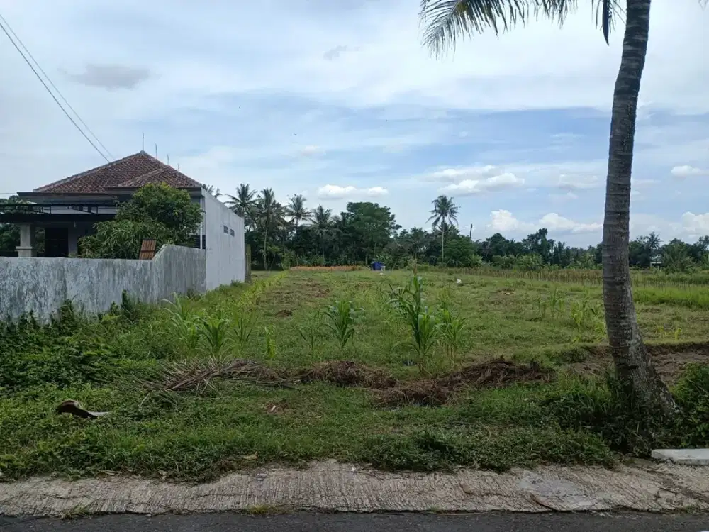 Tanah Jogja Strategis, Lokasi Dekat Samsat Sleman Jalan Magelang