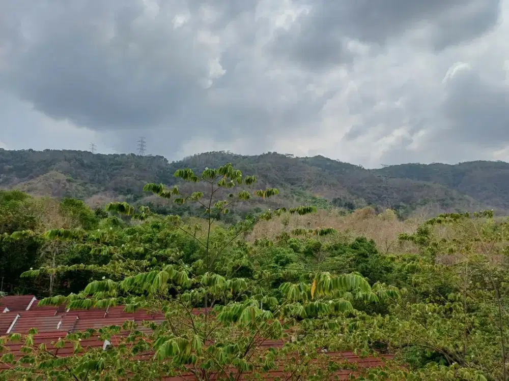 Tanah SHM Pekarangan 950rb/meter,Dekat Puncak Becici Bantul Cocok Untuk Hunian Pribadi/ Homestay