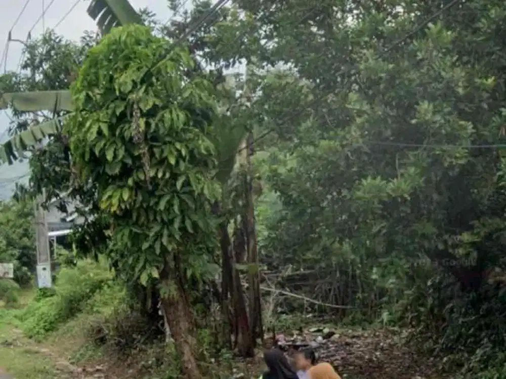 DiJual Tanah di Jl Jonggol-Dayeuh Sukasirna kec Jonggol kab Bogor lahan Zona Kuning upgrade Zona Merah