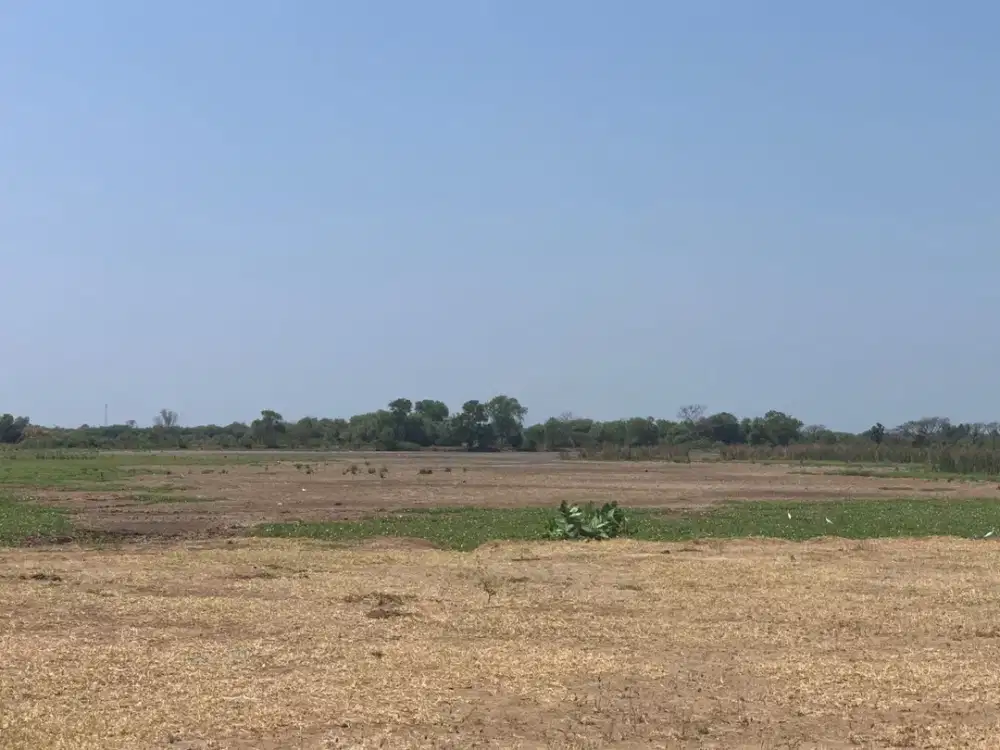 Tanah Siap Bangun daerah Kaliwungu.Kendal – 10869