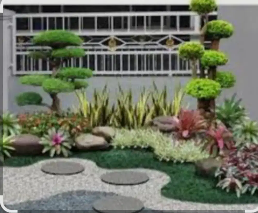 Bibit tanaman halaman rumah