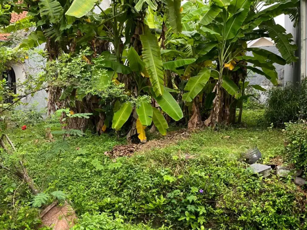 Dijual Cepat Kavling Cluster Meadow Green Lippo Cikarang