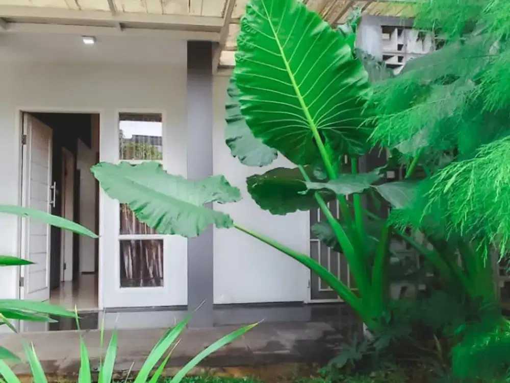 Rumah Bagus Minimalis di Permata Adora Siap Huni (mi)