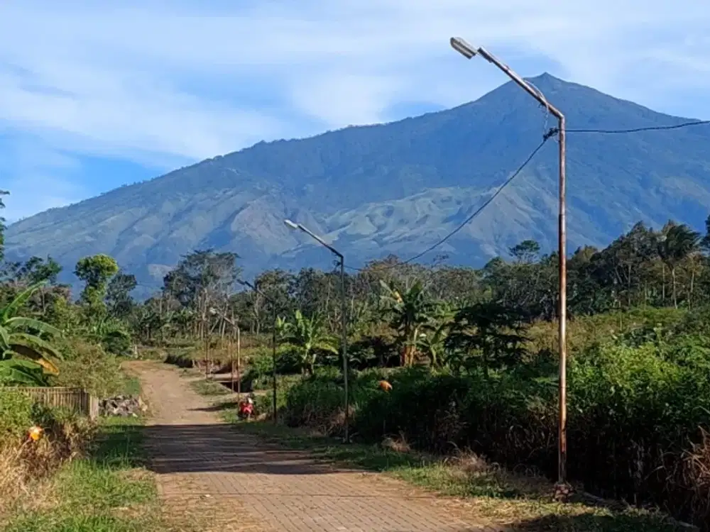 Jual Tanah Kavling Murah Lokasi Ketindan Lawang Malang