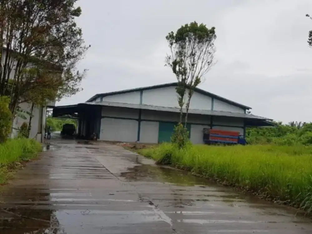 Jual Cepat, Gudang Pontianak Lahan 1.6Ha bonus Gudang 3000m²